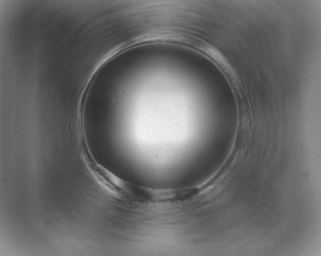 X0000071921242200607212100