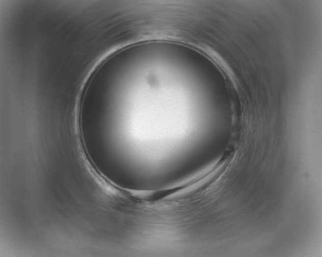 X0000071921246200607212100