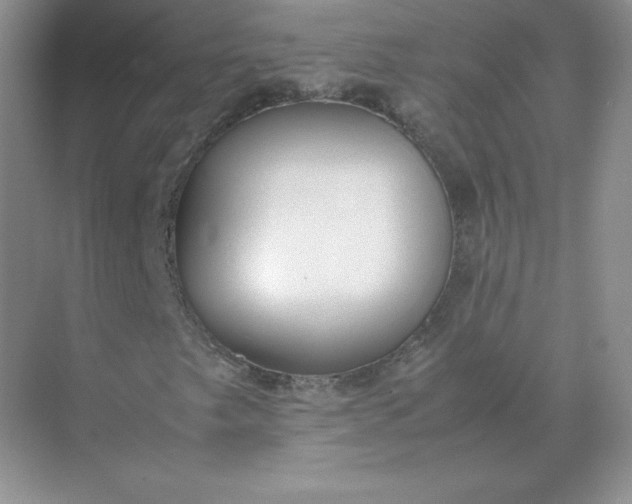 X0000071921249200607212059