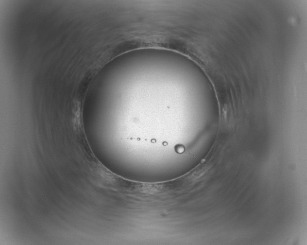 X0000071921251200607212059