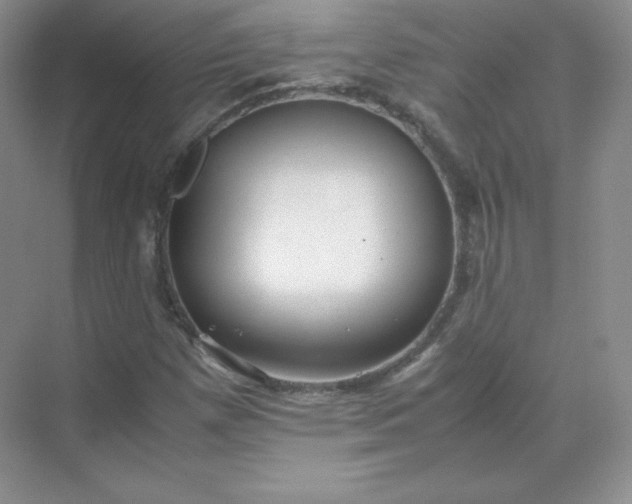 X0000071921257200607212059