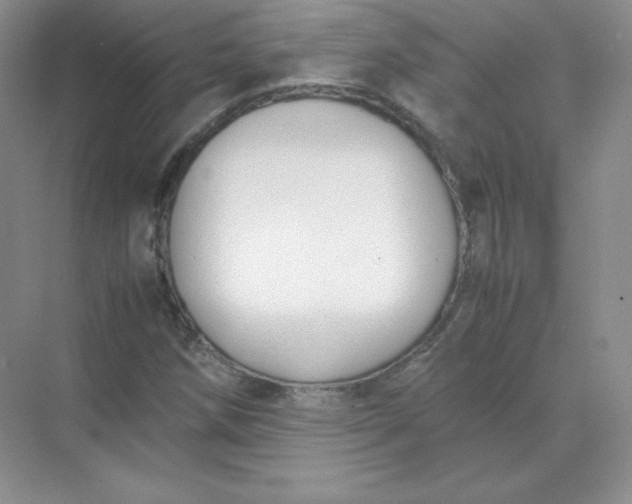 X0000071921258200607212059