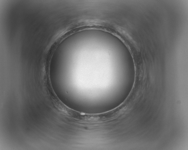 X0000071921261200607212059