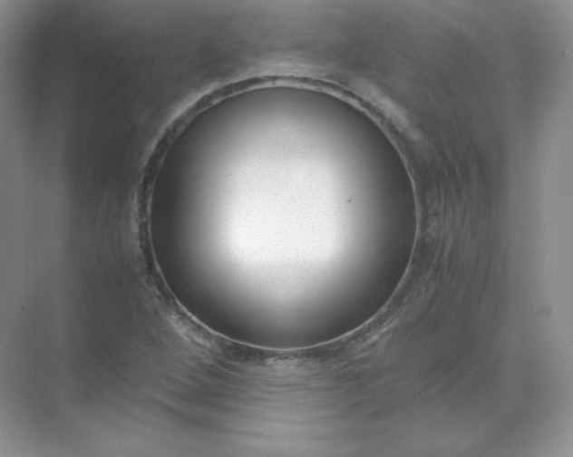 X0000071921264200607212059