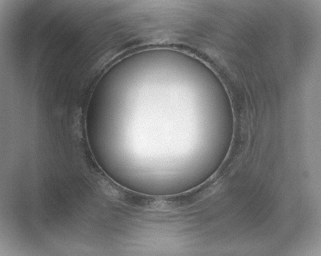 X0000071921265200607212059