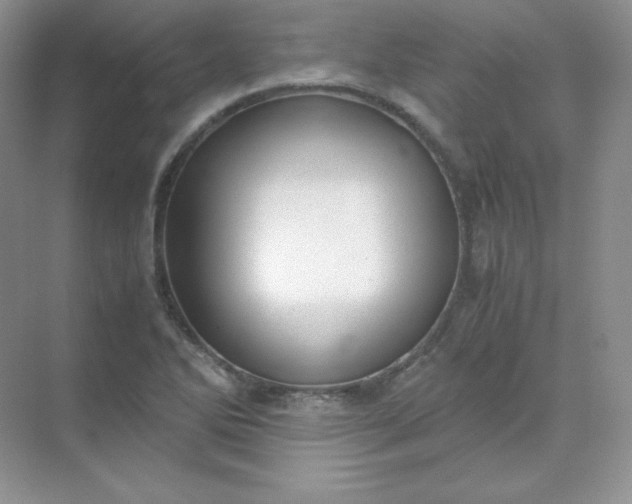 X0000071921270200607212059