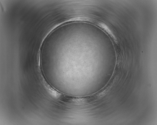 X0000071921276200607212059