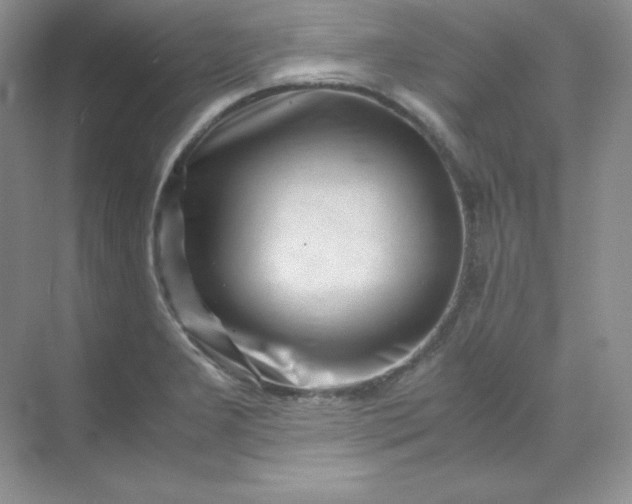 X0000071921277200607212059
