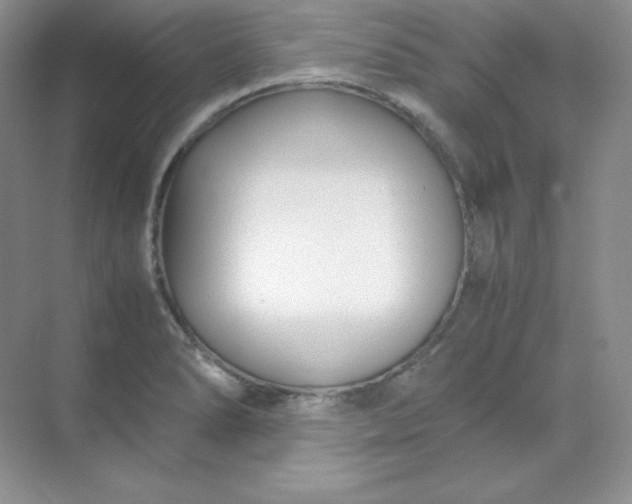 X0000071921278200607212059
