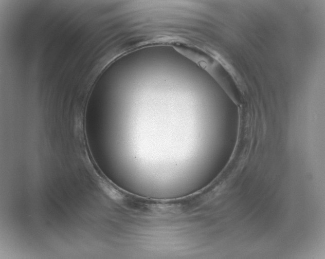 X0000071921281200607212058