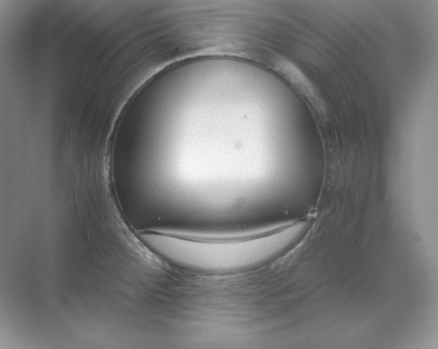 X0000071921284200607212058