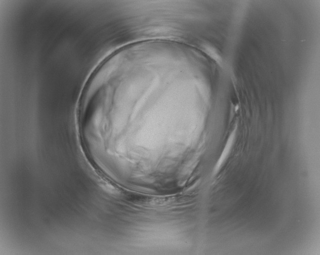 X0000071921291200607212058