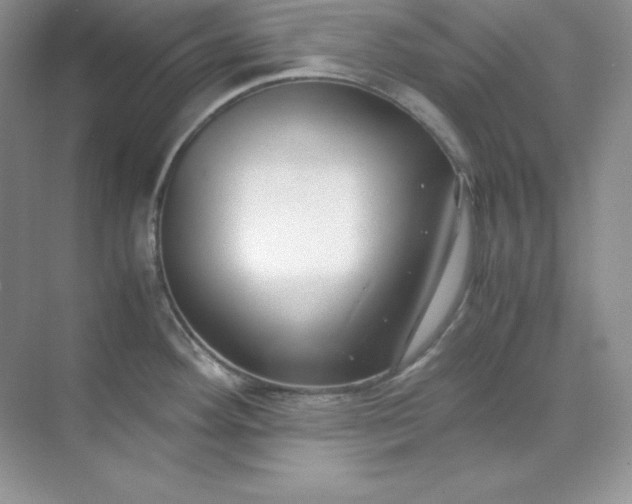 X0000071921292200607212058