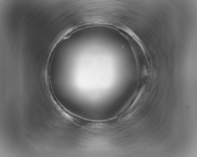 X0000071921293200607212058