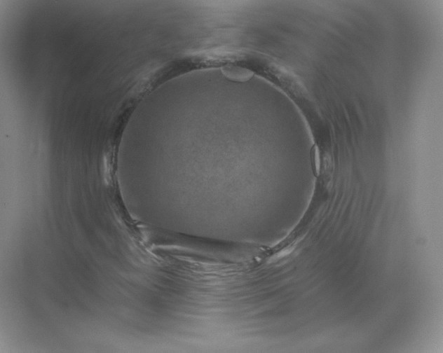 X0000071921300200607212057