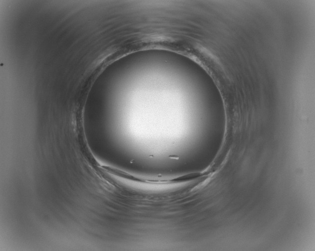 X0000071921305200607212058