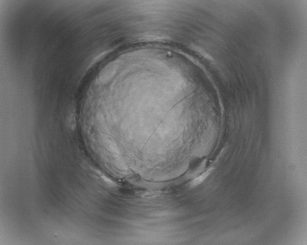 X0000071921306200607212058