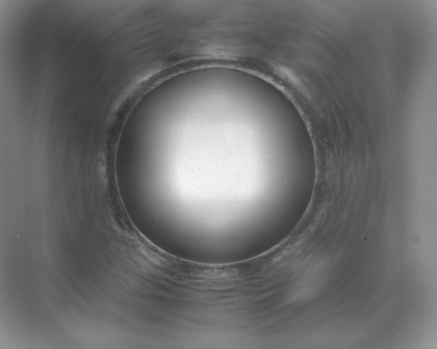 X0000071921307200607212058