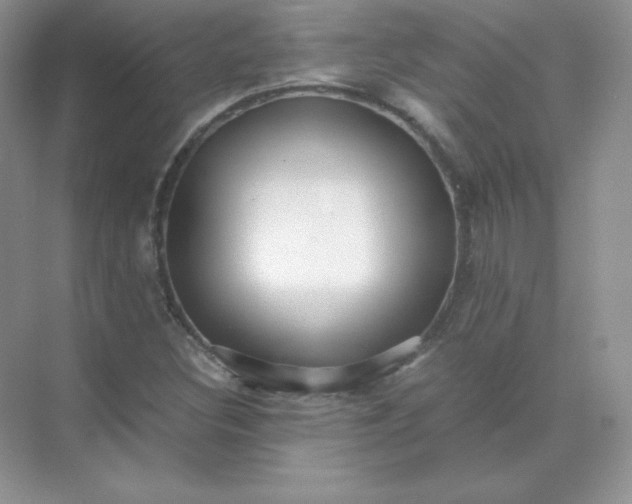 X0000071921308200607212058