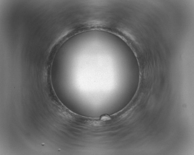 X0000071921309200607212058