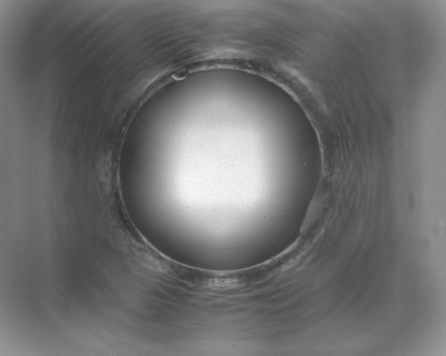 X0000071921313200607212058