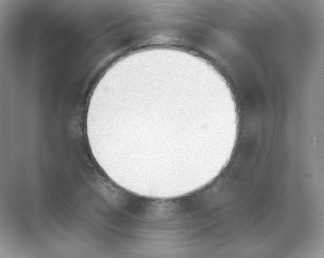 X0000071921314200607212058