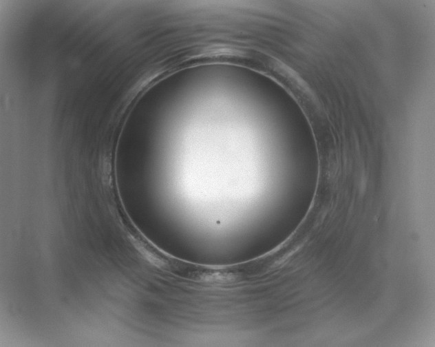 X0000071921321200607212058