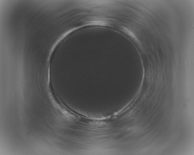 X0000071921323200607212058