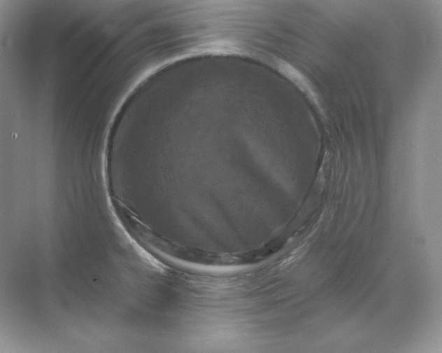 X0000071921334200607212058