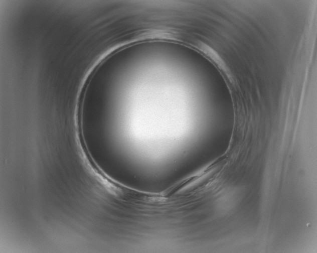 X0000071921339200607212058