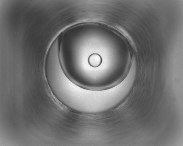 X0000071921340200607212058