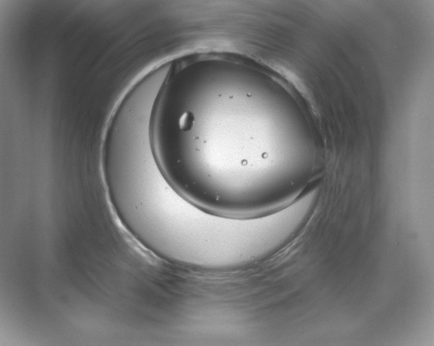 X0000071921342200607212058