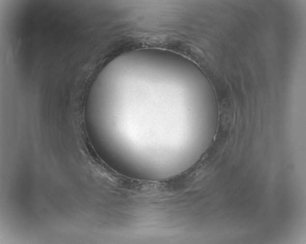 X0000071921345200607212057