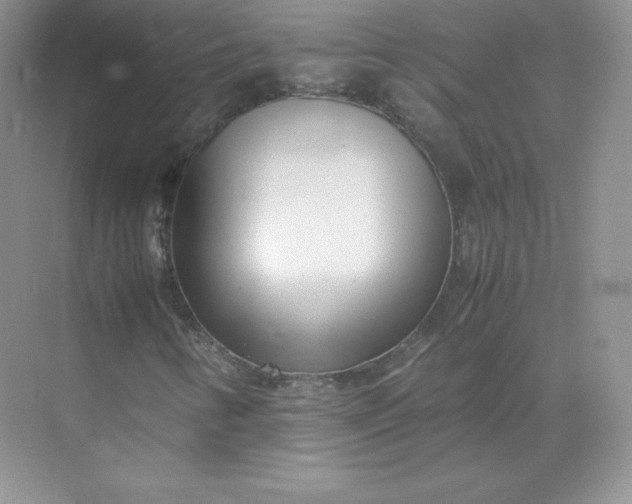 X0000071921346200607212057
