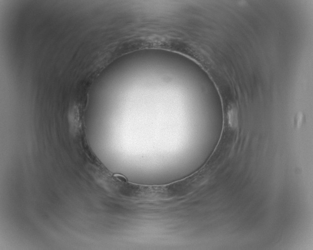 X0000071921347200607212057