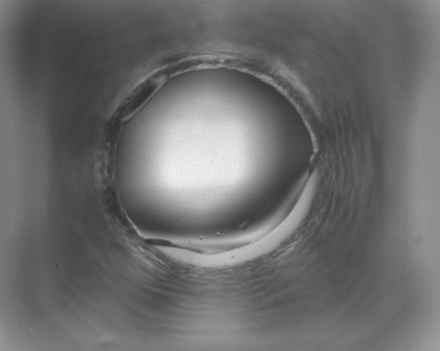X0000071921352200607212057