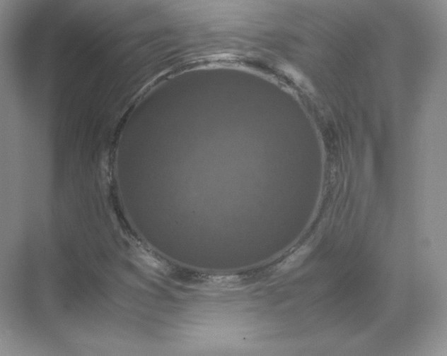 X0000071921353200607212057