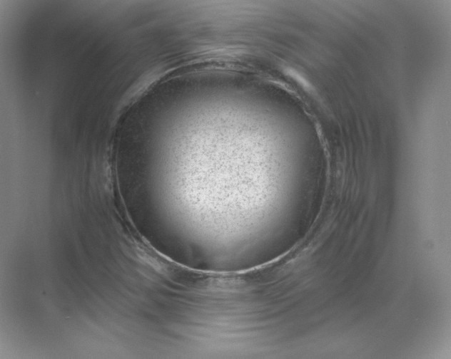 X0000071921354200607212057
