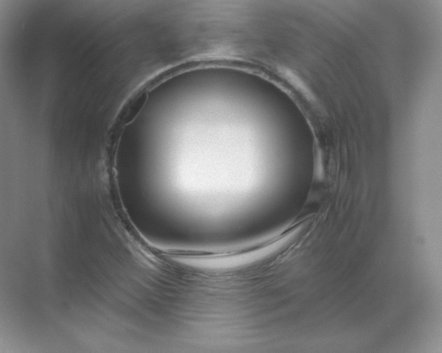 X0000071921356200607212057