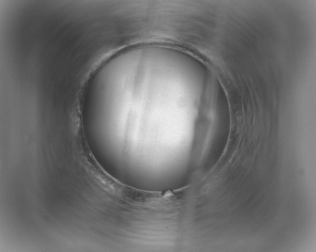 X0000071921363200607212057