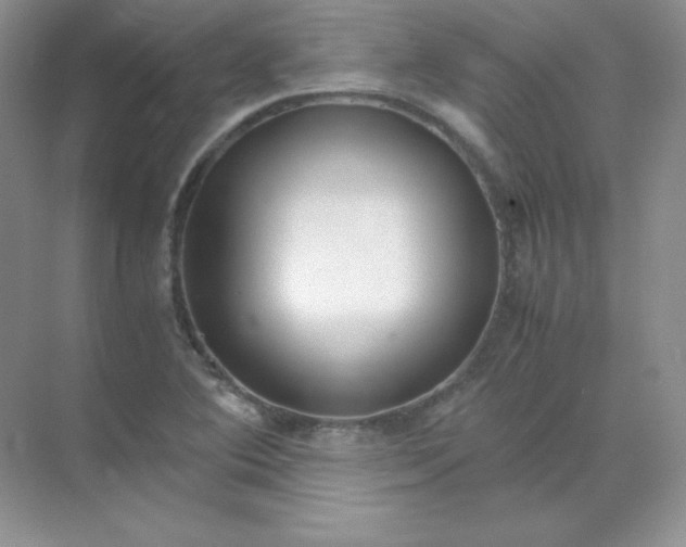 X0000071921364200607212057
