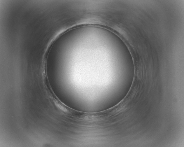 X0000071921366200607212057
