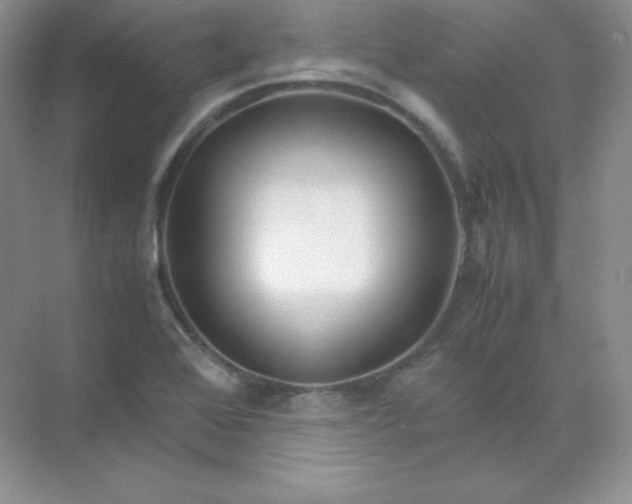X0000071921368200607212057