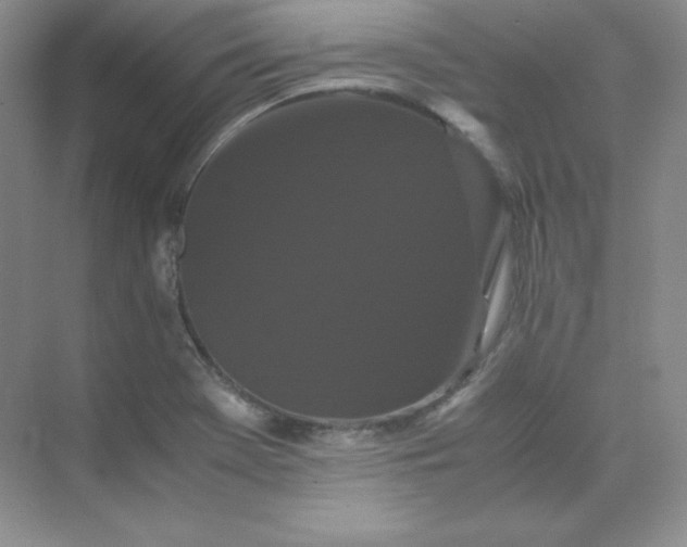 X0000071921369200607212057