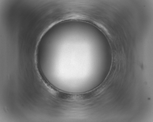X0000071921375200607212057