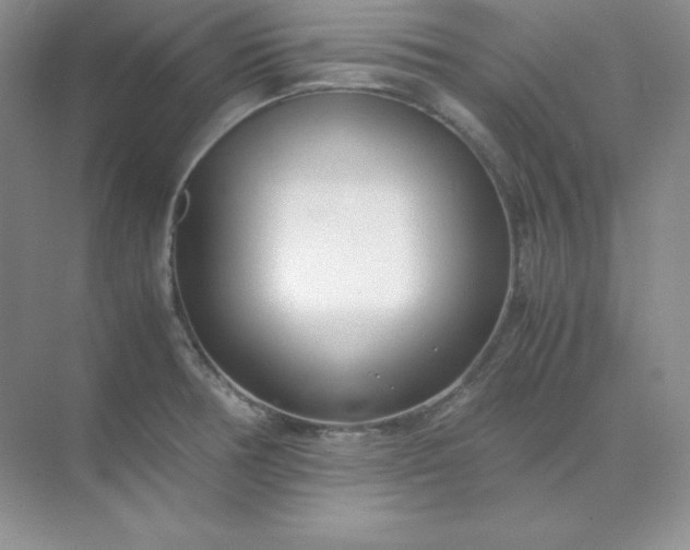 X0000071921378200607212057