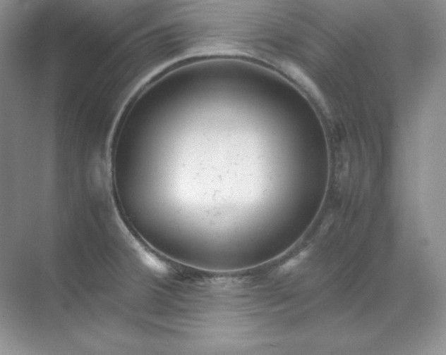 X0000071921380200607212057