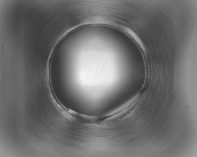 X0000071921388200607212057
