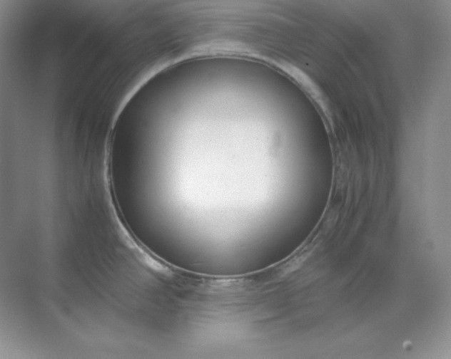 X0000071921390200607212057