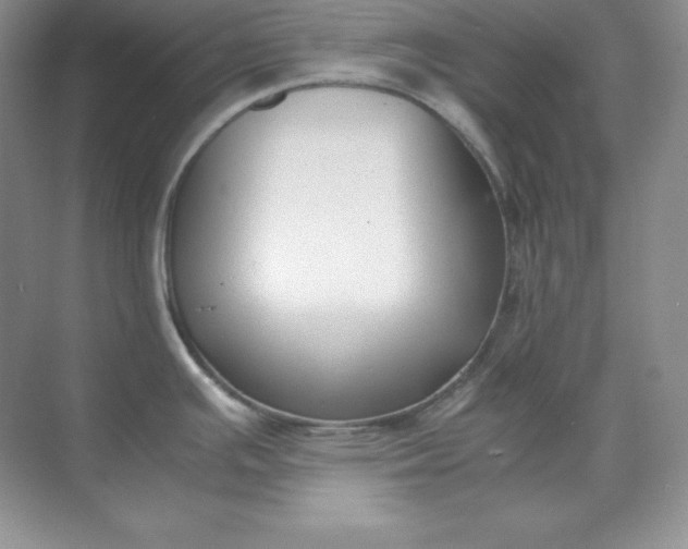 X0000071921391200607212057